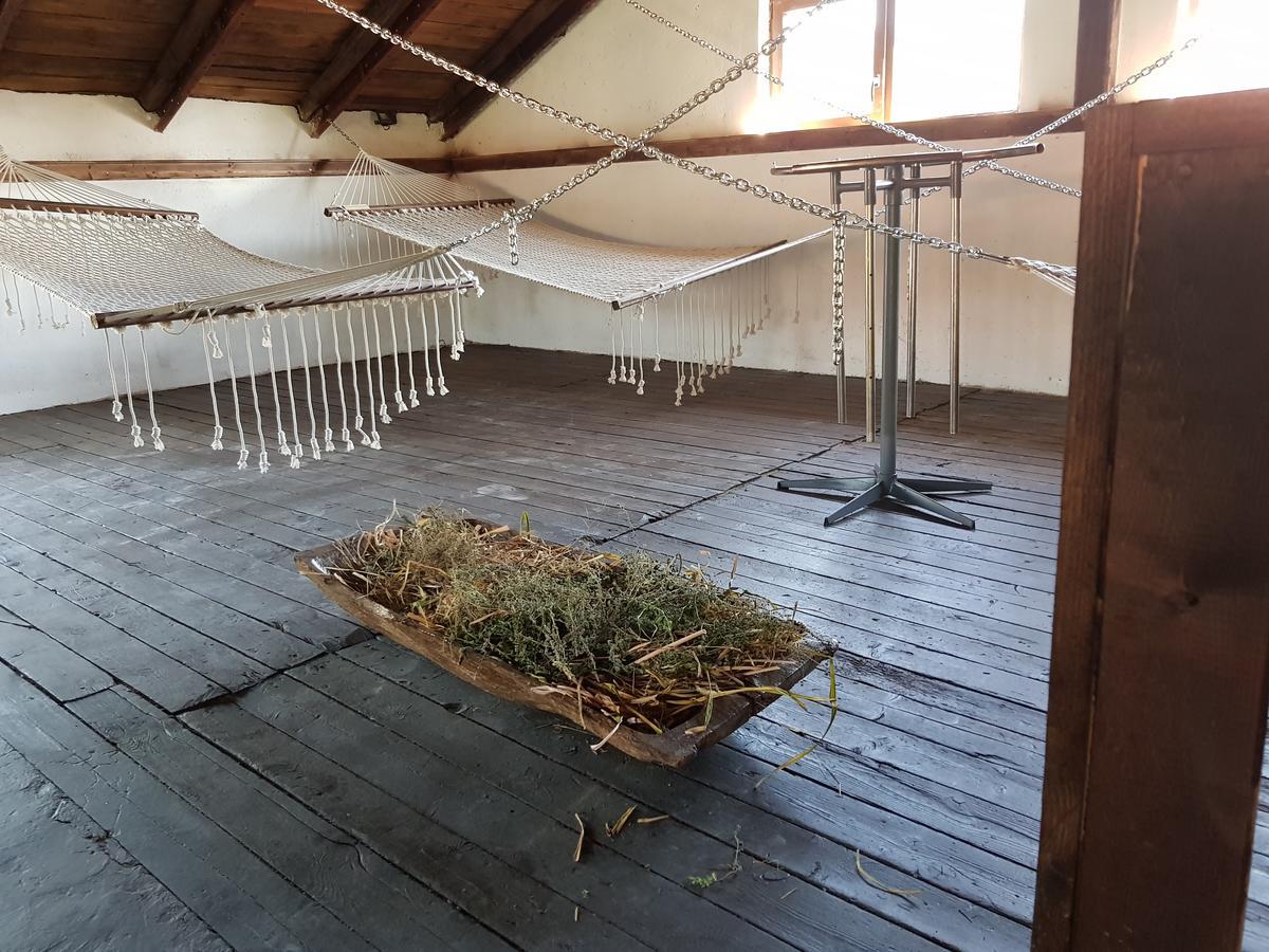 Къща За Гости Садово Guest House Sadovo Dış mekan fotoğraf
